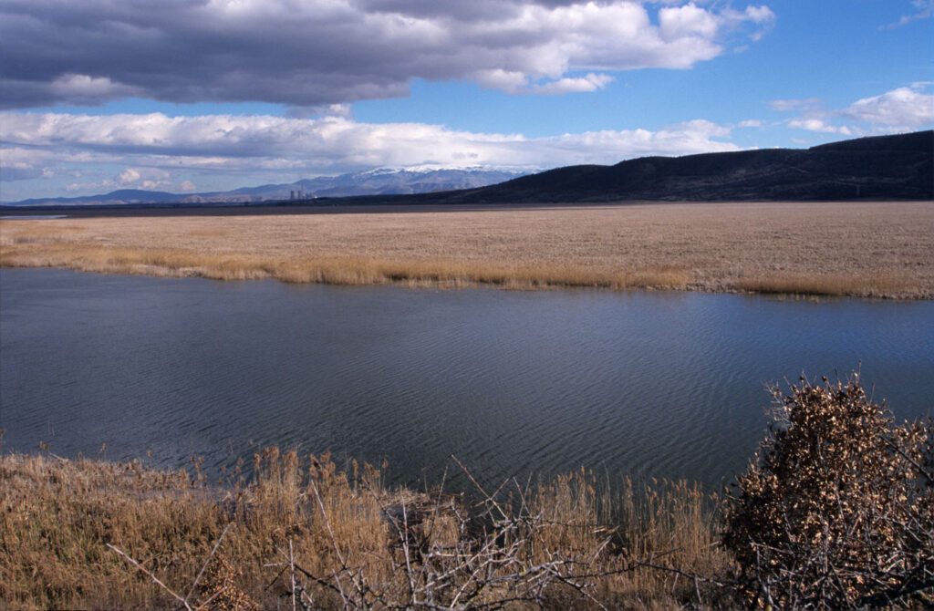Βελτίωση της Γνώσης Σχετικά με τον Καθορισμό της Ελάχιστα Απαιτούμενης Στάθμης/Παροχής Υδάτινων Σωμάτων