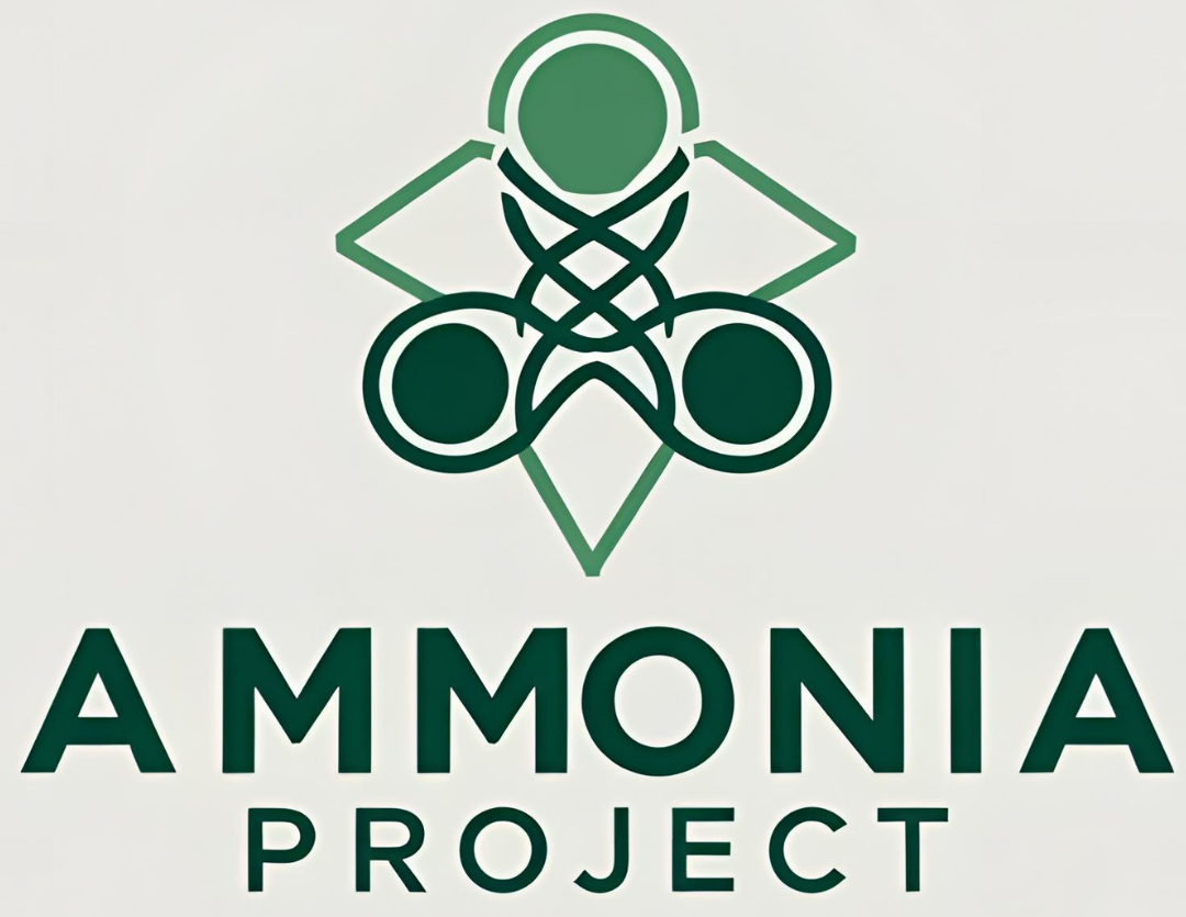 Ammonia Project
