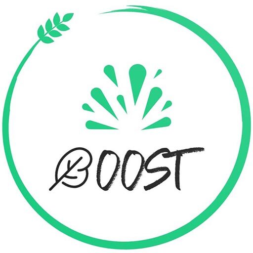 [BOOST] Boosting agribusiness acceleration and digital hub networking by an advanced training program on Sustainable Precision Agriculture   