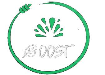 BOOSTing agribusiness acceleration and digital hub networking by an advanced training program on sustainable Precision Agriculture